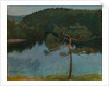Pine tree by the shore, 1900 by Anonymous