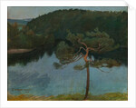 Pine tree by the shore, 1900 by Anonymous