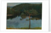 Pine tree by the shore, 1900 by Anonymous