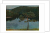 Pine tree by the shore, 1900 by Anonymous