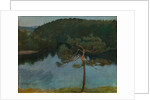 Pine tree by the shore, 1900 by Anonymous