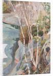 Breaking ice, 1916 by Anonymous