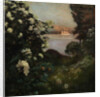 Flowering Trees, Haikon, 1901 by Anonymous