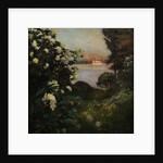 Flowering Trees, Haikon, 1901 by Anonymous