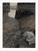 Kuolleitten virta, 1893 by Anonymous
