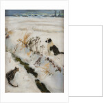 Cat and Dog by Anonymous