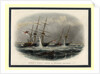 The mining of the Merlin and Firefly off Kronstadt on 9 June 1855, 1855-1856 by Anonymous