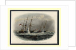 The mining of the Merlin and Firefly off Kronstadt on 9 June 1855, 1855-1856 by Anonymous