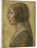La Bella Principessa, c. 1496 by Anonymous