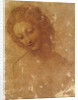 Head of Leda, c. 1510 by Anonymous