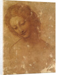 Head of Leda, c. 1510 by Anonymous