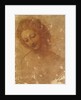 Head of Leda, c. 1510 by Anonymous