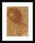 Head of Leda, c. 1510 by Anonymous