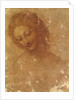 Head of Leda, c. 1510 by Anonymous