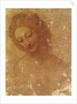 Head of Leda, c. 1510 by Anonymous