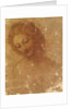 Head of Leda, c. 1510 by Anonymous