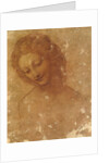 Head of Leda, c. 1510 by Anonymous