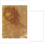 Head of Leda, c. 1510 by Anonymous