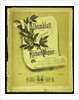 Albumblatt (Es-dur) für das Pianoforte, Mainz, 1882, 1882 by Anonymous