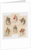 Costume designs for opera Der Ring des Nibelungen by Richard Wagner, 1889 by Anonymous