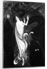 Das Rheingold (The Rhinegold), 1896 by Anonymous