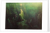 Das Rheingold, 1st scene, at the bottom of the Rhine. Bayreuth, 1896, 1896 by Anonymous