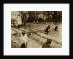 Tsar Nicholas II and family gardening at Alexander Palace during internment at Tsarskoye Selo, 1917, by Anonymous