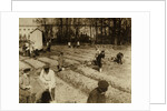 Tsar Nicholas II and family gardening at Alexander Palace during internment at Tsarskoye Selo, 1917, by Anonymous