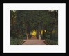 Gardens at Aranjuez, ca 1899 by Anonymous