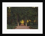 Gardens at Aranjuez, ca 1899 by Anonymous
