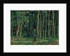 Walking at the forest edge, ca 1885 by Anonymous