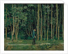 Walking at the forest edge, ca 1885 by Anonymous