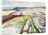 Snowmelt near Elgersburg, 1906 by Anonymous