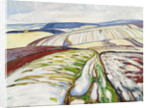 Snowmelt near Elgersburg, 1906 by Anonymous