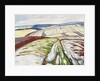 Snowmelt near Elgersburg, 1906 by Anonymous
