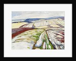 Snowmelt near Elgersburg, 1906 by Anonymous