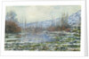 The Thaw at Vétheuil, 1880 by Anonymous