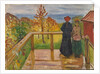 The rain, 1902 by Anonymous