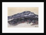 Mount Kolsaas, 1895 by Anonymous