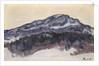 Mount Kolsaas, 1895 by Anonymous