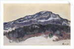 Mount Kolsaas, 1895 by Anonymous
