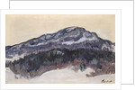 Mount Kolsaas, 1895 by Anonymous