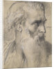 Moses, ca 1854 by Anonymous