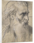 Moses, ca 1854 by Anonymous