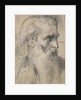 Moses, ca 1854 by Anonymous