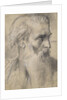 Moses, ca 1854 by Anonymous