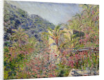 The Sasso Valley. Sun Effect (Vallée de Sasso, effet de soleil), 1884 by Anonymous