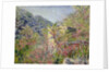 The Sasso Valley. Sun Effect (Vallée de Sasso, effet de soleil), 1884 by Anonymous