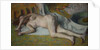 Rest after the bath (Après le bain femme nue chouchée), 1885-1887 by Anonymous