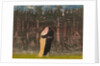 Towards the forest II (Mot skogen II), 1915 by Anonymous